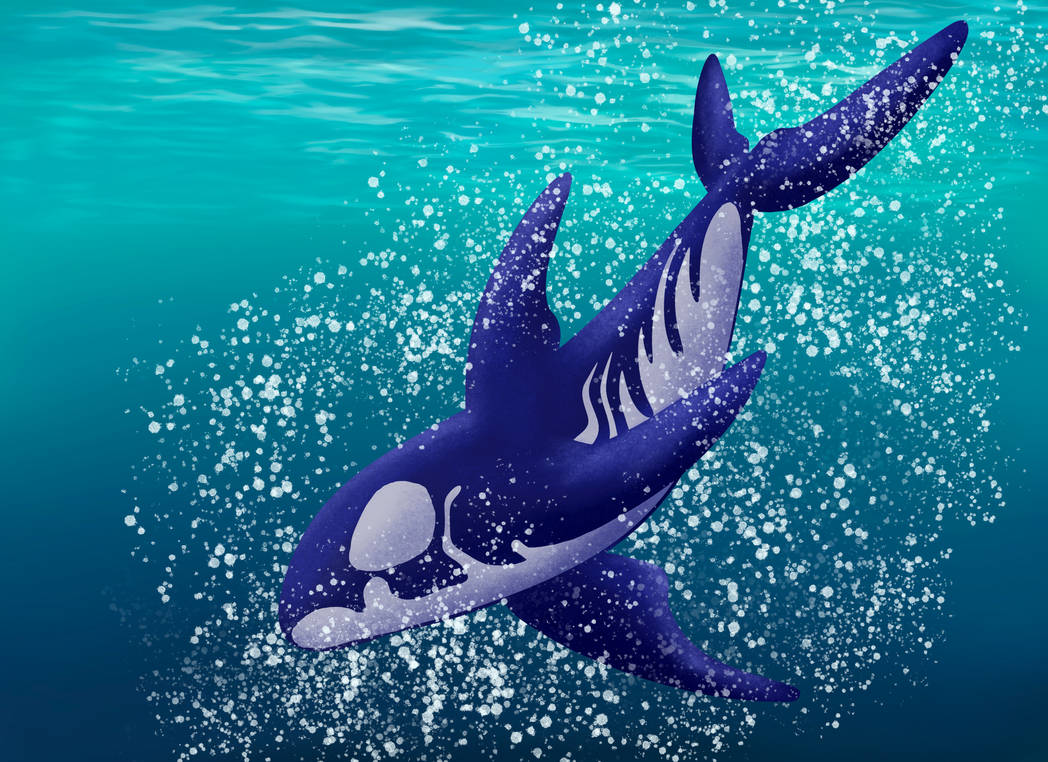 Purple Orca by Matriofelis on DeviantArt