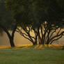 Sunrise, Hartebeestpoort Dam, South Africa