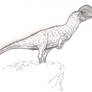 Dilophosaurus 2020