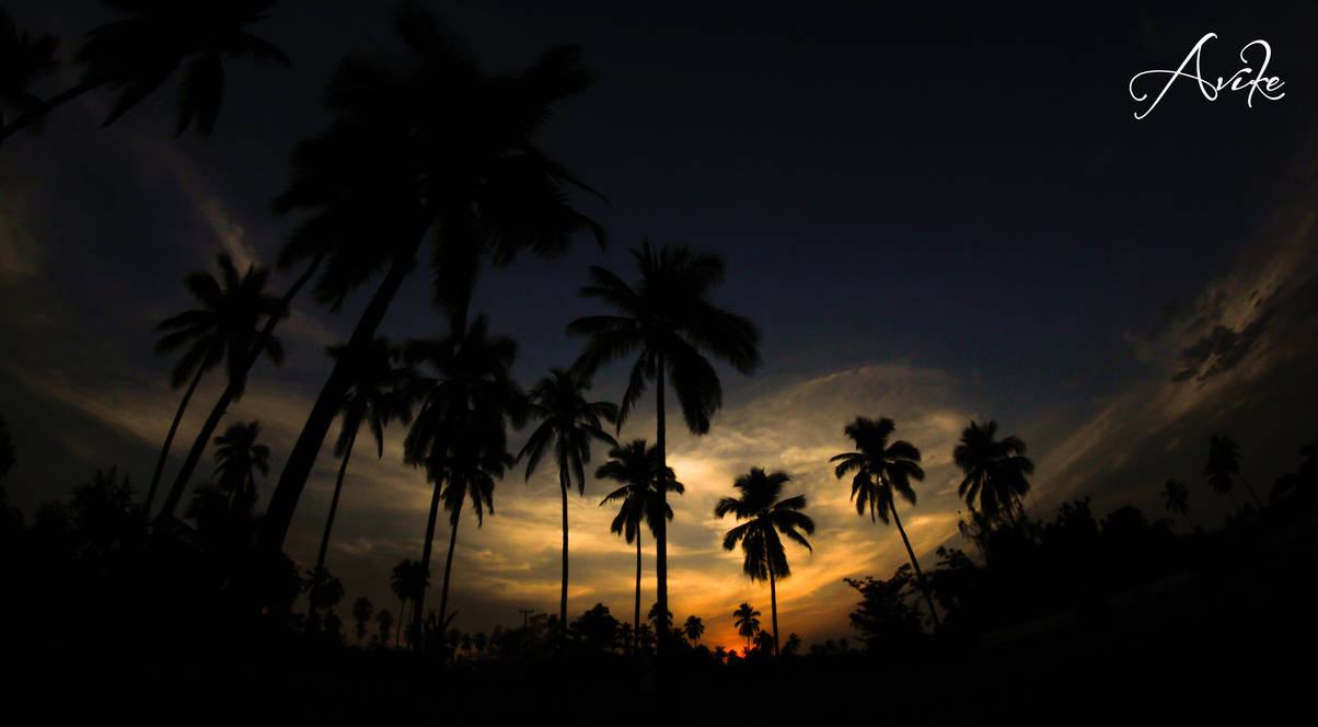 Sunset At Barra