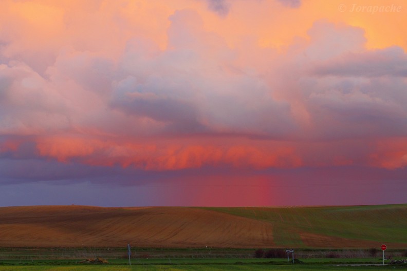 First spring sunset