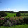 Taliesin Landscape