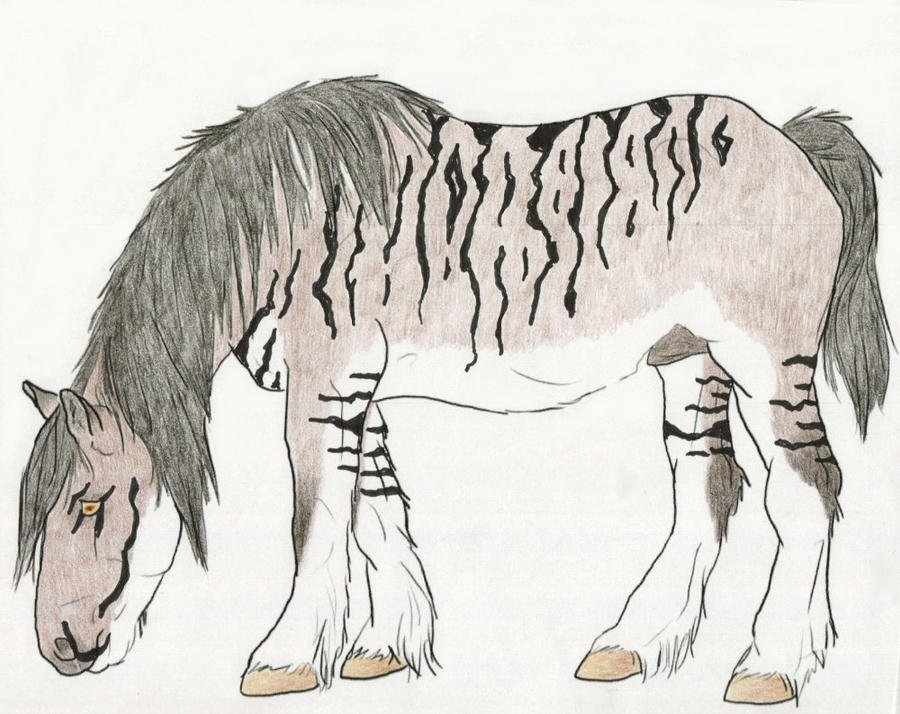 Torran by HiddenRealm on DeviantArt