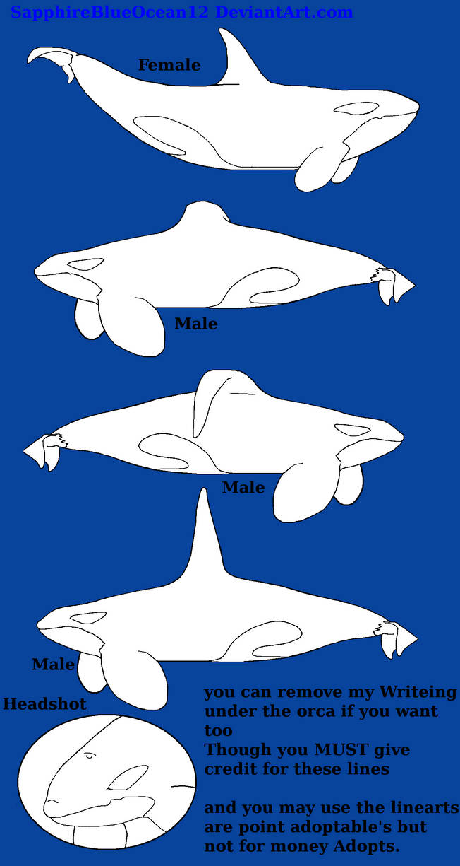 Orca linearts free to use by SapphireBlueOcean12 on DeviantArt