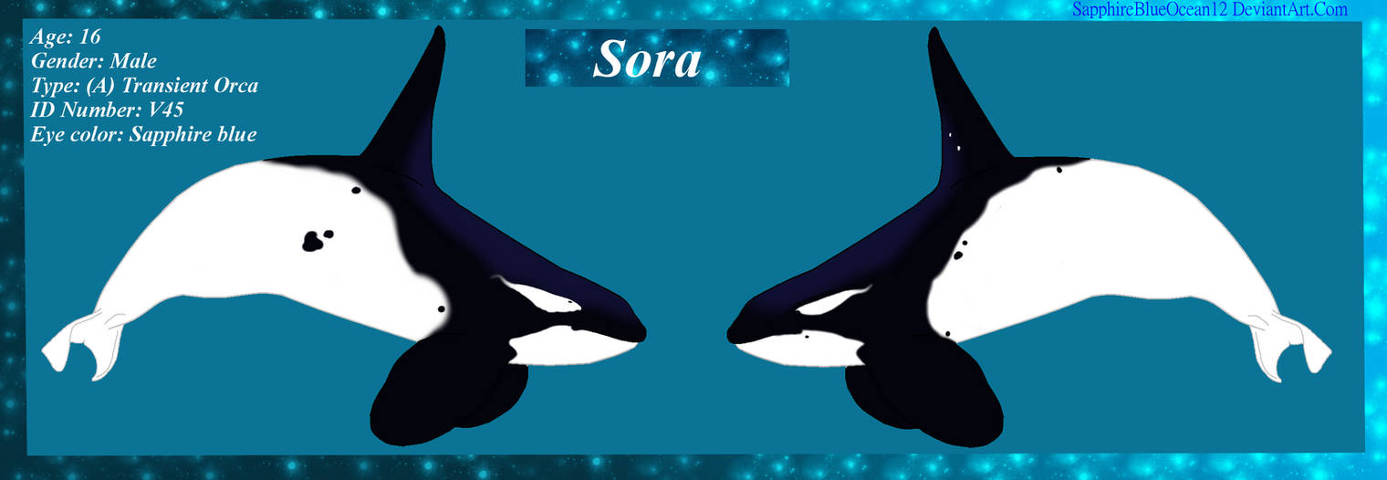 Sora Reference Sheet by SapphireBlueOcean12 on DeviantArt