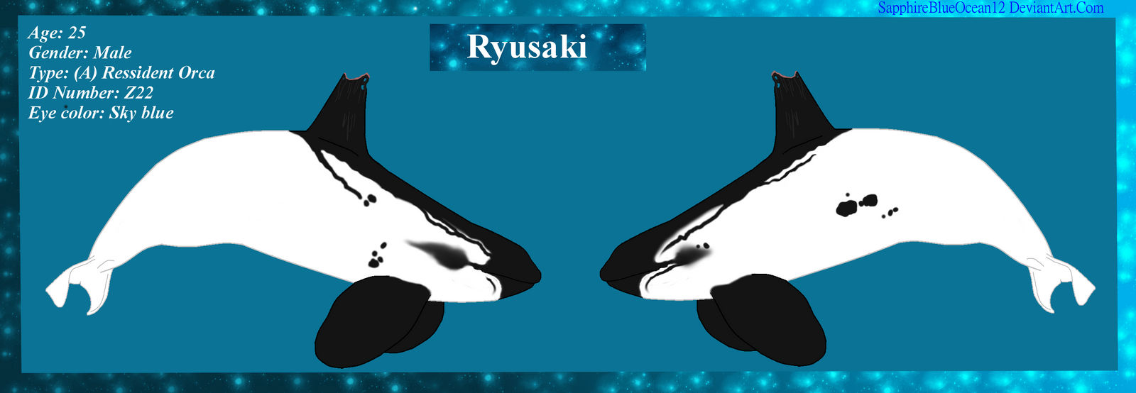 Ryusaki Reference Sheet