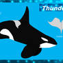 Thunder Reference Sheet