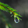 waterdrop again