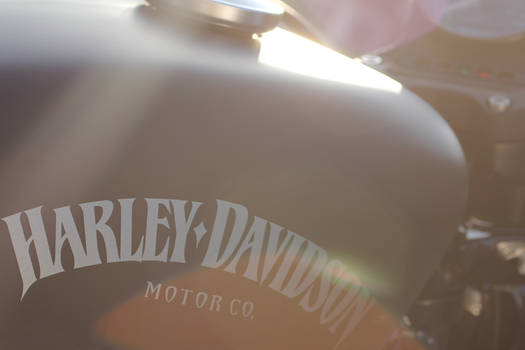 Harley Davidson Iron 883 Tank