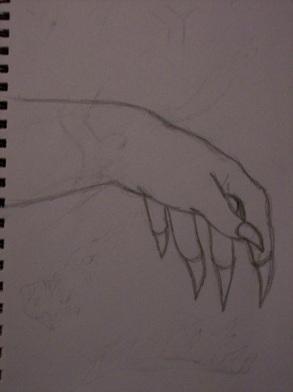 Beast Hand Pinterest Beasts Hand by kage-ookami25 on DeviantArt