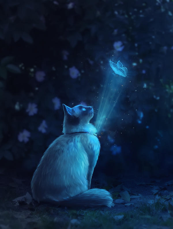 Magic cat by Ewoka on DeviantArt