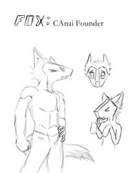 PSO-Fox-CAnai