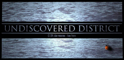 Undiscovered District