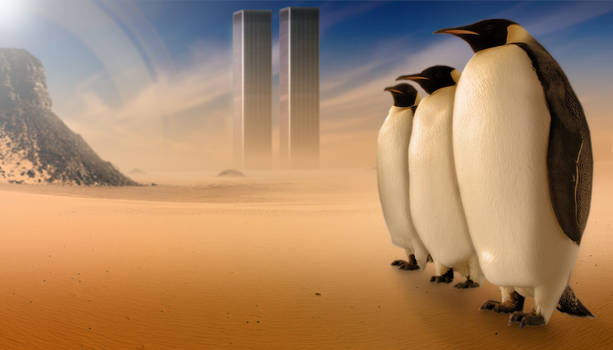 The Emperor Penguins