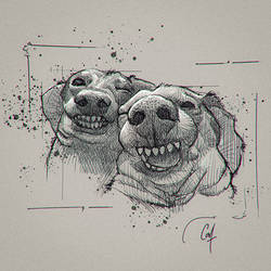 Dogges - Sketch