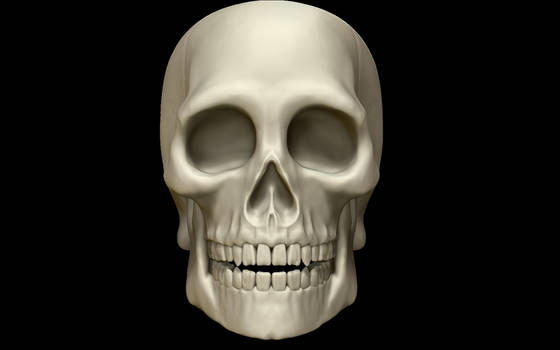 Skull full face