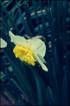 Ill Catch You by LovelyBPhotography