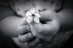 My Baby Flower by LovelyBPhotography