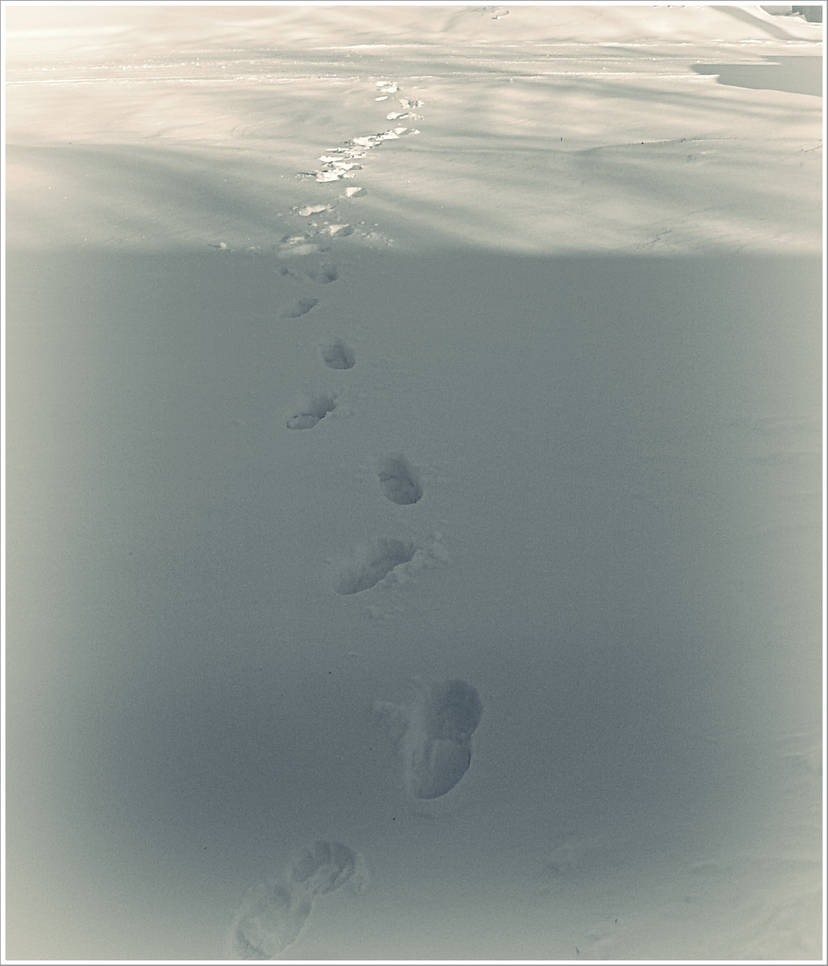 Deep Footsteps by LovelyBPhotography on DeviantArt