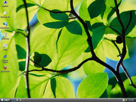 Longhorn 4074 Slate desktop w/ sidebar turned off