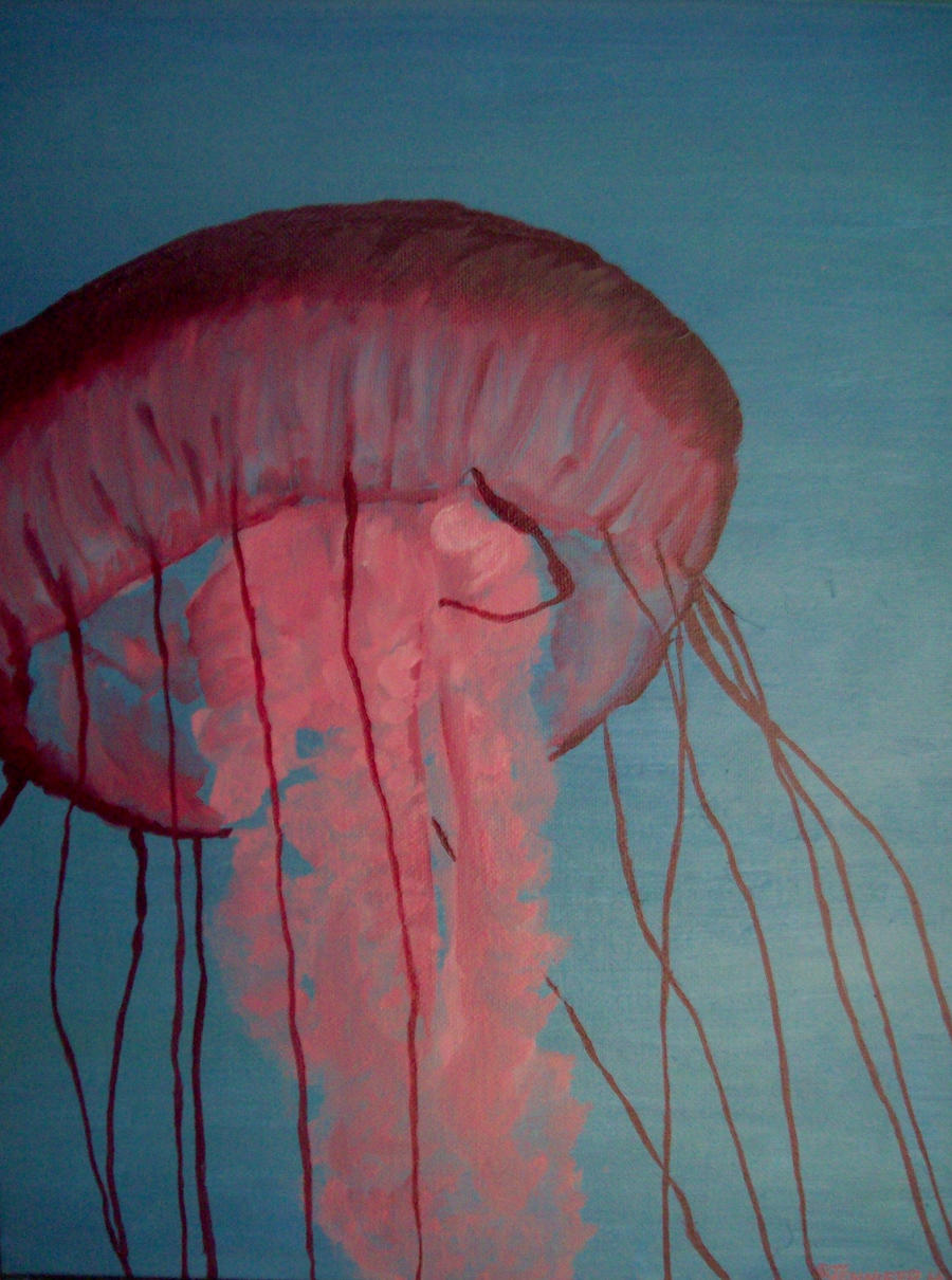 Jellyfish