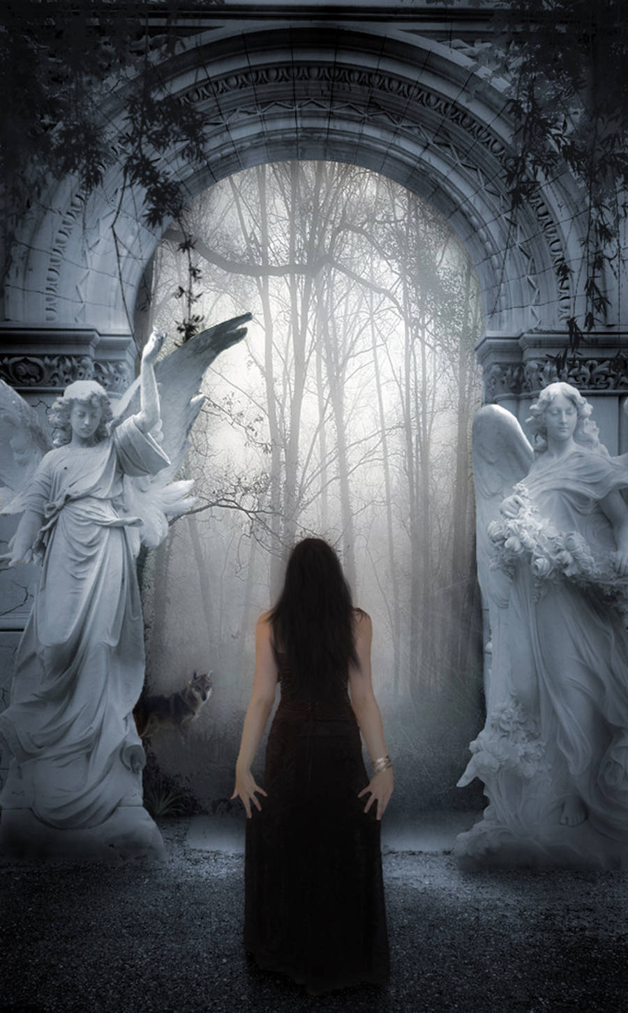 Enter My Realm by Senelfy