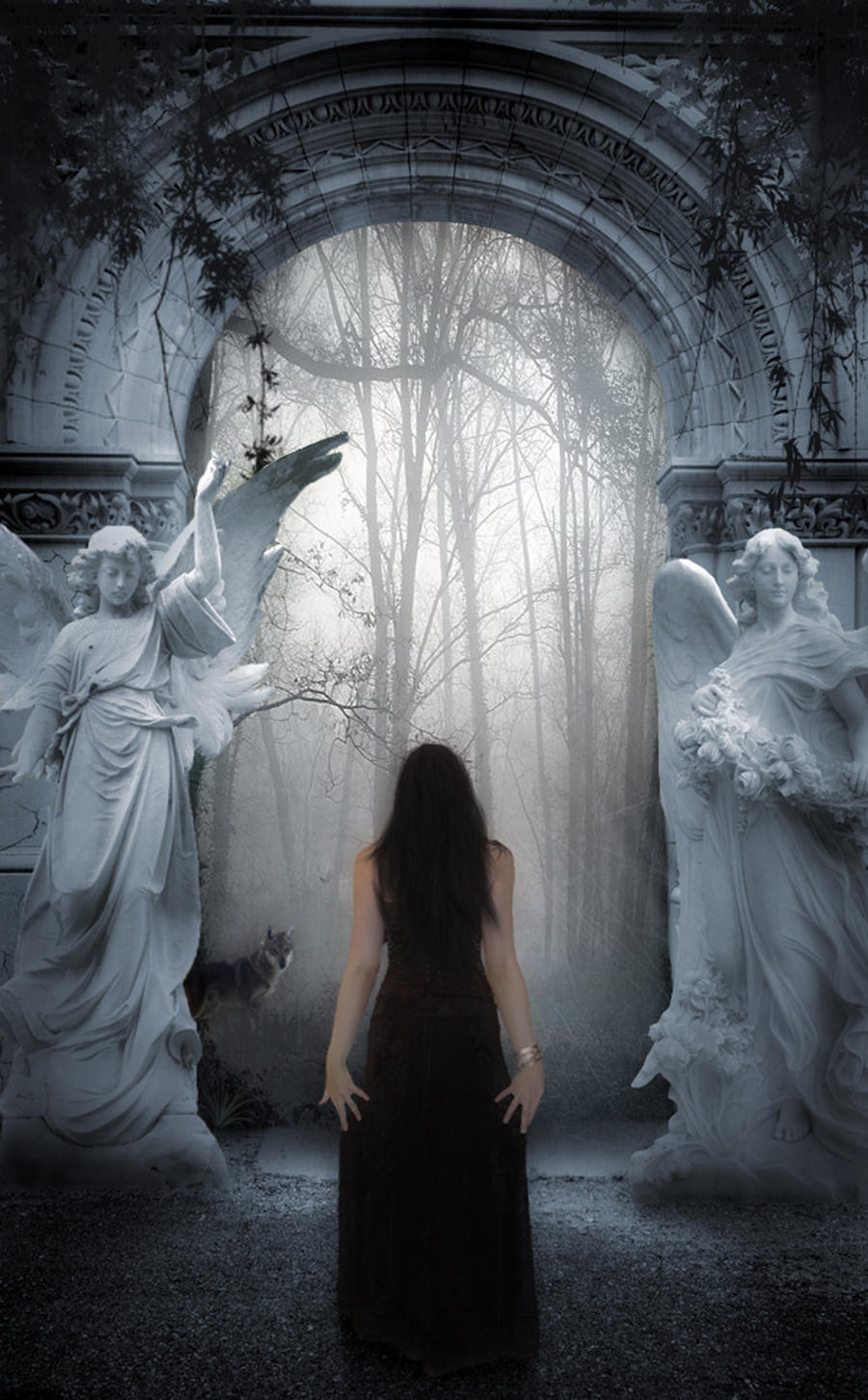 Enter My Realm by Senelfy