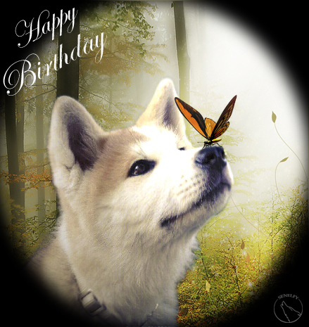 Happy Birthday! by Senelfy