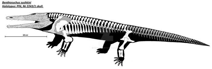 Benthosuchus sushkini