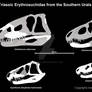 Triassic Erythrosuchidae from the Southern Urals