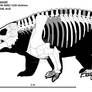 Scutosaurus karpinskii