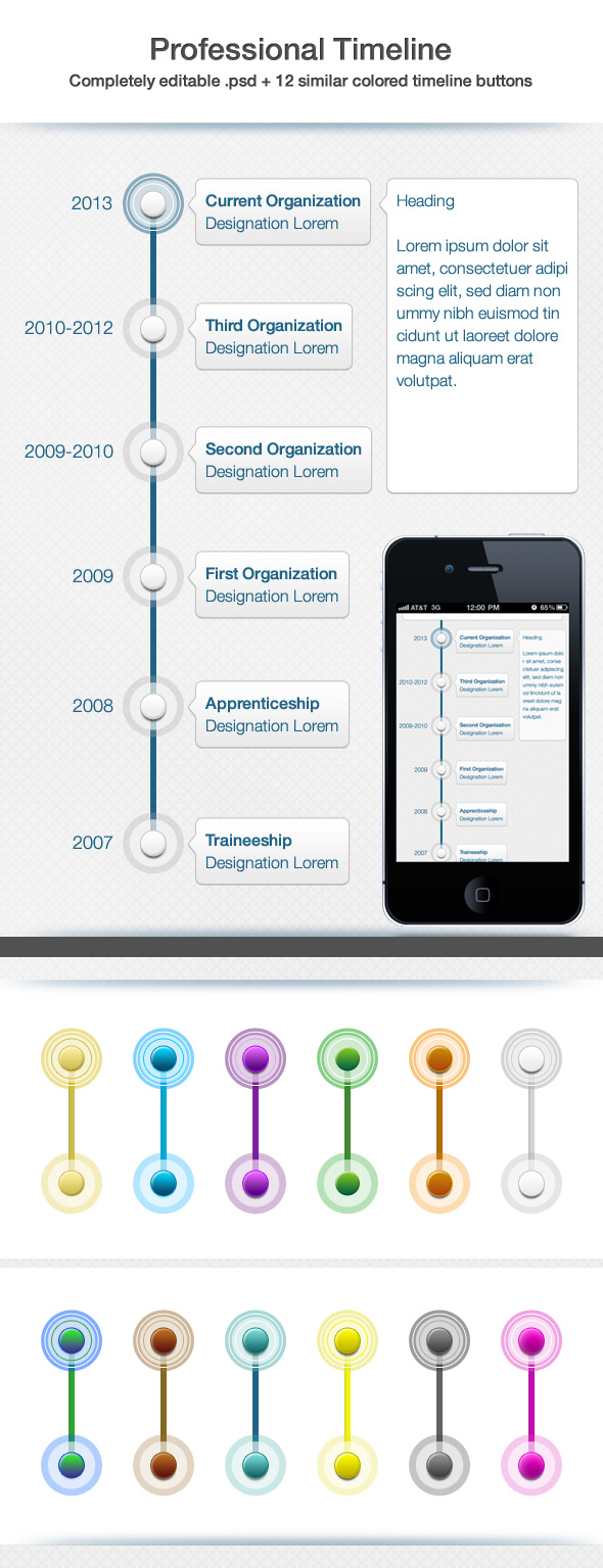 Professional Time Line