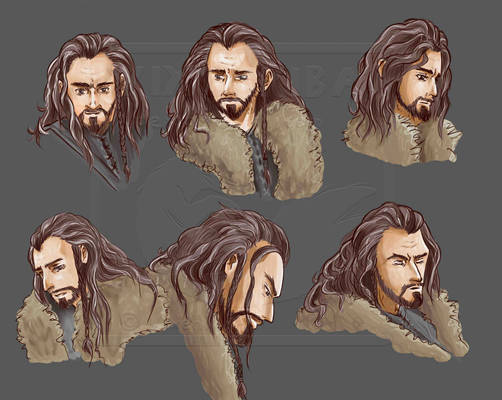 Thorin Oakenshield - Faces Coloured