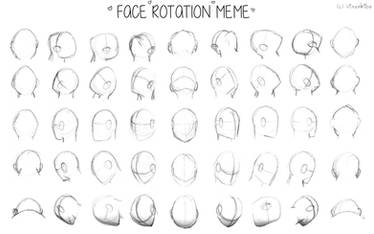 Face Rotation Meme