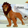 Haki - Adult version character sheet