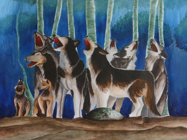 Cd Rudd Deviantart Wolfpack Wolf Pack by Druice on DeviantArt