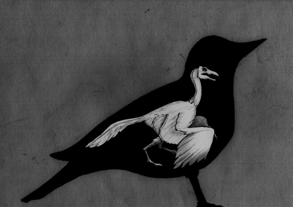 Bird Evolution Deviantart Evolution by JamieHargrave on DeviantArt