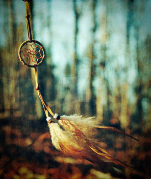 Dreamcatcher.