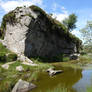 Rocks of Dartmoor IV