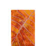 Autumn Leaf