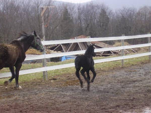 Baby running