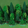 More Trees and Shrubs