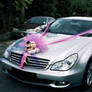 Affordable Wedding Sport Car hire Services