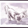 Cat study v