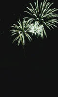 Firework