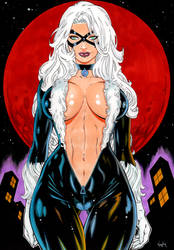 Black Cat 2024