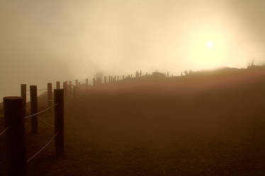 Golden Gate Mist