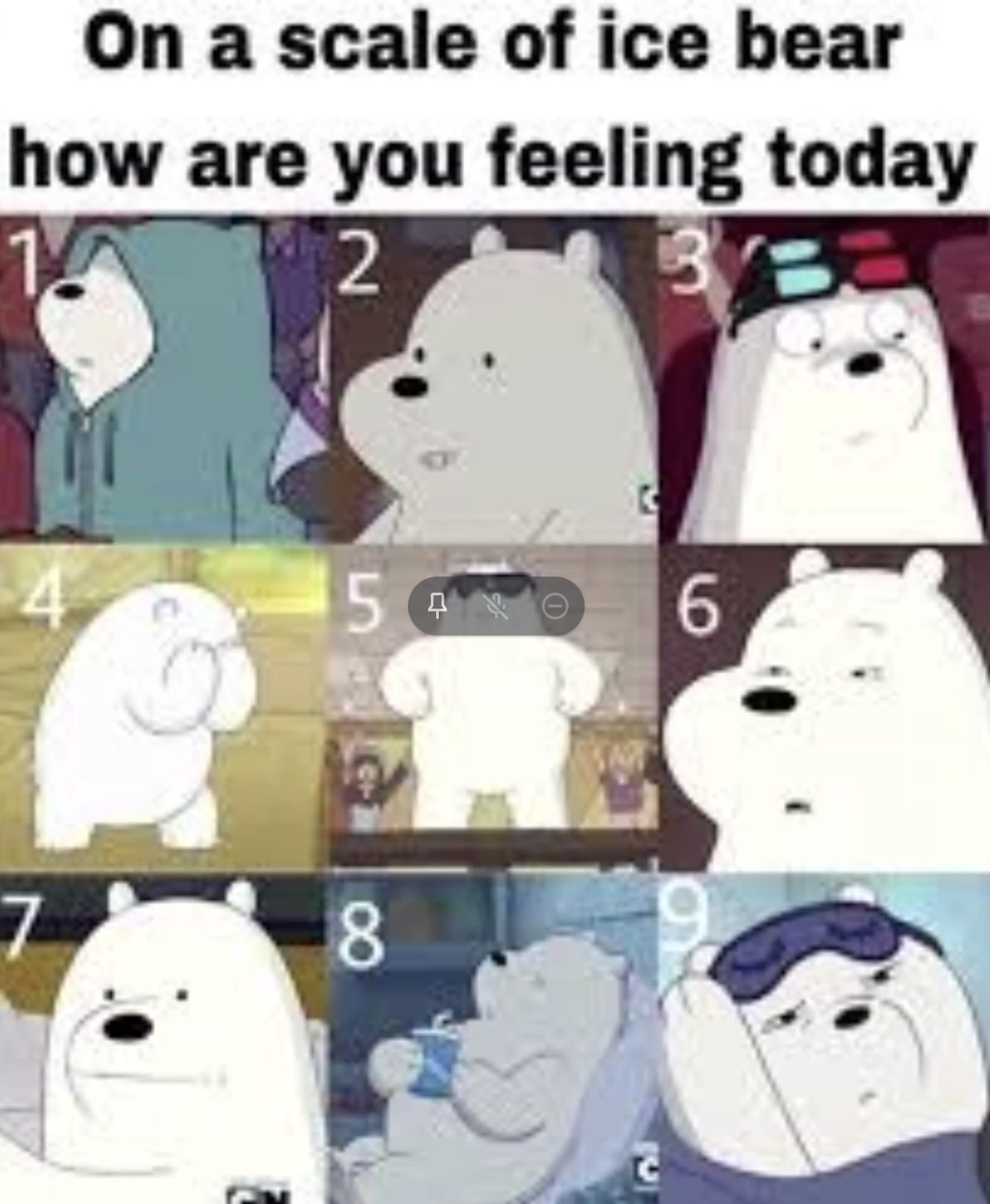 On A Scale Of Ice Bear How Are You Feeling Today By Starbirb22 On Deviantart