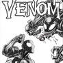 Symbiote Spider-man VS Venom
