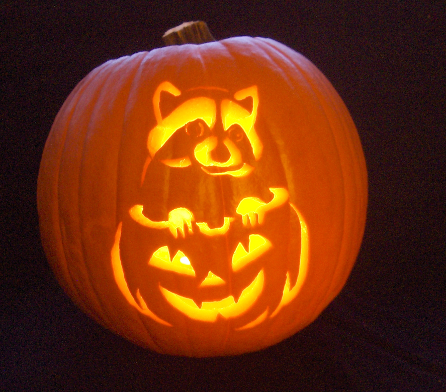 Midnight Bandit Carving by wolfsax on DeviantArt midnight-bandit-carving-by-wolfsax-on-deviantart